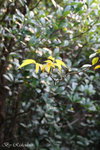 IMG_0170