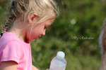 IMG_0984