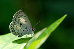 �z������
