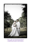 D33_3863s[1]