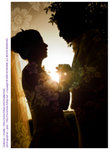 D33_3895[1]