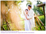 D33_3922[1]
