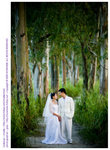D33_4049[1]