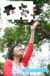 29JMG_4013pc