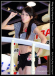 DPP_0013