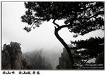 IMG_7310