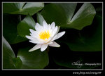 DPP_0011