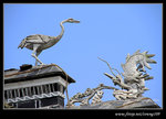 DPP_0017