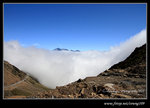 DPP_0024