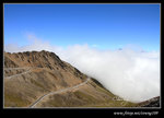 DPP_0025