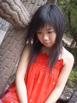 SSL12948