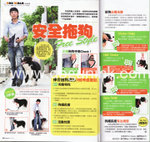 2010_July_mypet3
