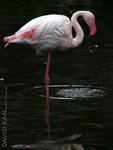 PB022902 