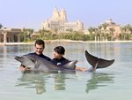 Dolphin Bay 1