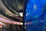 The Dubai Mall - Aquarium