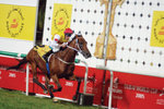 Finishing post