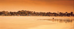 Jumeirah Beach Club