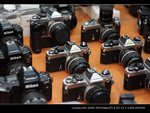 IMG_3957