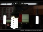 IMG_3966