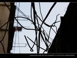 IMG_4065