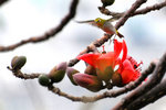 s- DSC_8314 crop