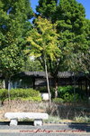 IMG_8373a