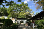 IMG_8391a