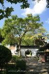 IMG_8395a