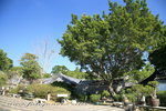 IMG_8420a