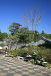 IMG_8423a