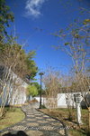 IMG_8432a