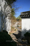 IMG_8436a