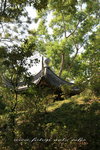 IMG_8439a