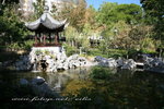 IMG_8458a
