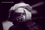 IMG_7555a