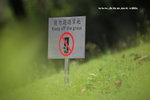 IMG_7615a