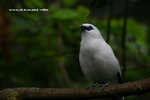 IMG_7635a