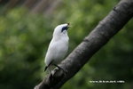 IMG_7677a