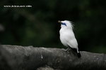 IMG_7682a