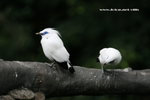 IMG_7685a
