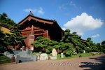 IMG_0883an