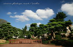 IMG_0895cn