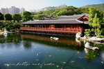IMG_0916an