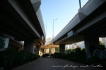 IMG_1027n