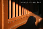 IMG_1039n