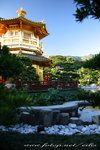 IMG_1047n