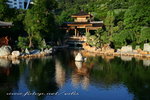 IMG_1071n