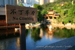 IMG_1073n