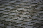 IMG_7120
