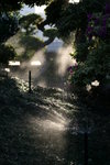 IMG_7153